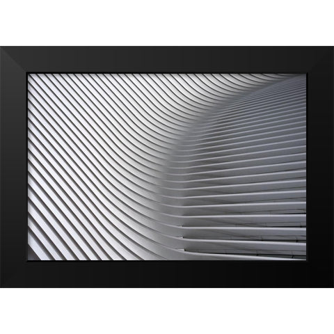 Calatrava Curves # 2 Black Modern Wood Framed Art Print by Wride, Linda