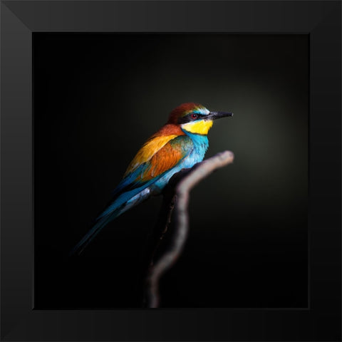 Colorful Darkly Black Modern Wood Framed Art Print by Fegari