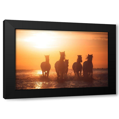 Camargue Angels Black Modern Wood Framed Art Print with Double Matting by Anton, Rostovskiy