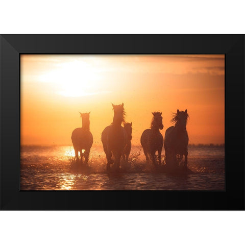 Camargue Angels Black Modern Wood Framed Art Print by Anton, Rostovskiy