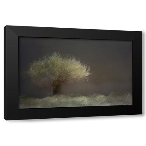 Willow Black Modern Wood Framed Art Print by Talen, Nel