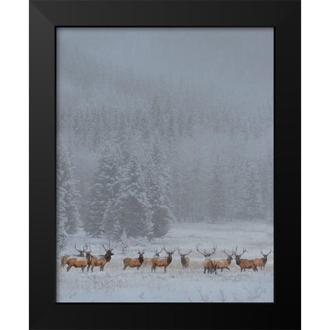 Standing In Storm Black Modern Wood Framed Art Print by Wang, Yun