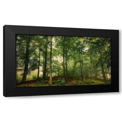 Welcome In The Forest. Black Modern Wood Framed Art Print by Londal, Leif
