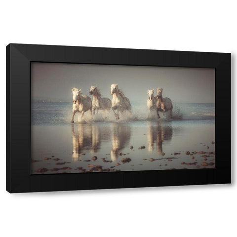 Camargue Horses Black Modern Wood Framed Art Print by Anton, Rostovskiy