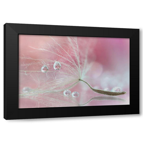 Two Of Us Black Modern Wood Framed Art Print with Double Matting by Barbieri, Rina