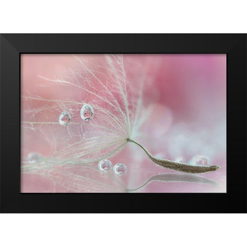 Two Of Us Black Modern Wood Framed Art Print by Barbieri, Rina