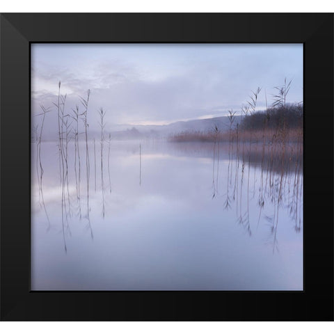 Untitled Black Modern Wood Framed Art Print by Ahern, David