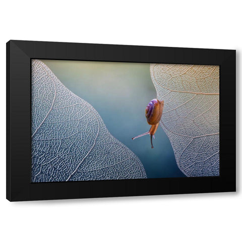 Want To Cross Black Modern Wood Framed Art Print by Baihaki, Ahmad