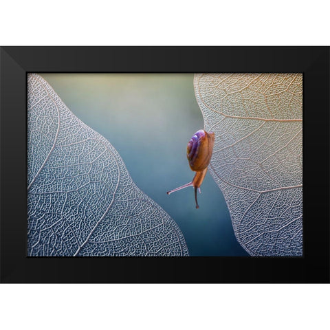 Want To Cross Black Modern Wood Framed Art Print by Baihaki, Ahmad