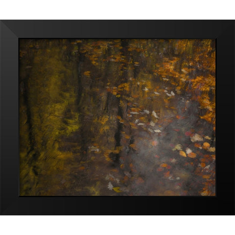 Autumn Impression Black Modern Wood Framed Art Print by Talen, Nel