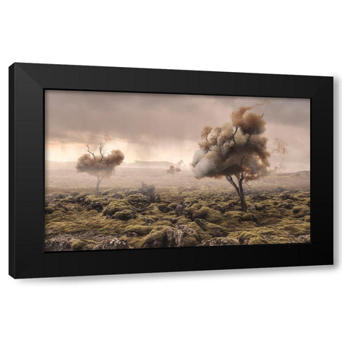 Desolation Black Modern Wood Framed Art Print by Bergolth, Matthias
