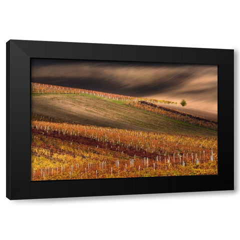 Line And Vine Black Modern Wood Framed Art Print by Sokolovsky, Vlad