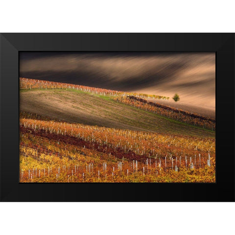 Line And Vine Black Modern Wood Framed Art Print by Sokolovsky, Vlad