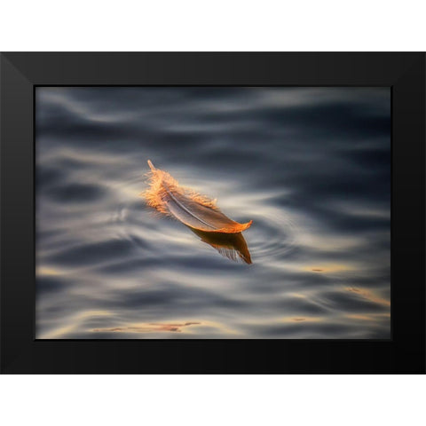 Floating Black Modern Wood Framed Art Print by Deng, Larry