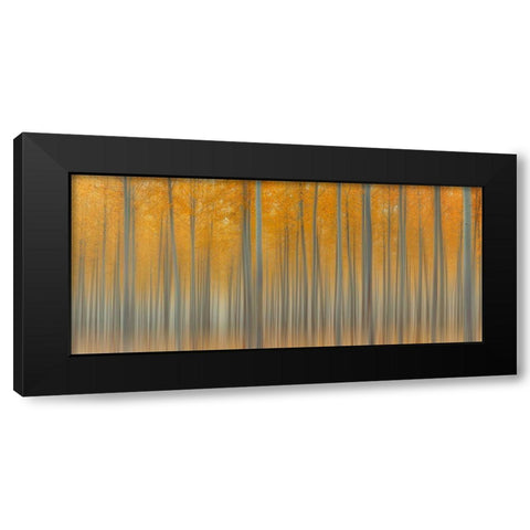 Autumn Delight Black Modern Wood Framed Art Print with Double Matting by Jacobs, Lydia