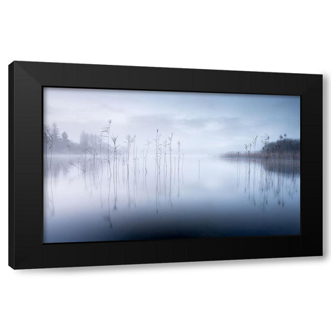 Untitled Black Modern Wood Framed Art Print by Ahern, David