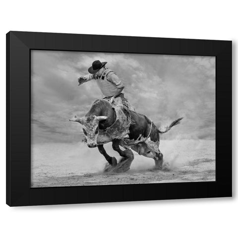Ram Rodeo Black Modern Wood Framed Art Print with Double Matting by Wang, Yun