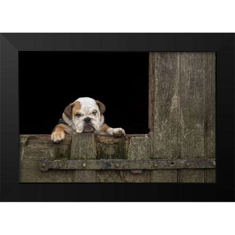 Got That Monday Feeling... Black Modern Wood Framed Art Print by van den, Gert