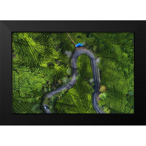 Indonesia - Rancabali Tea Aerial Black Modern Wood Framed Art Print by Claude Castor, Jean