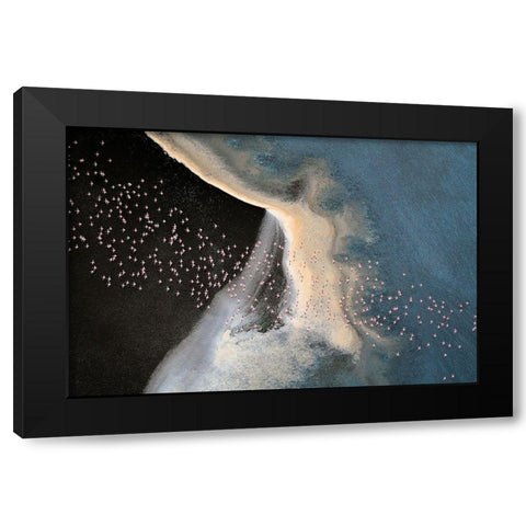 Wave Runner Iv Black Modern Wood Framed Art Print by Fan, John