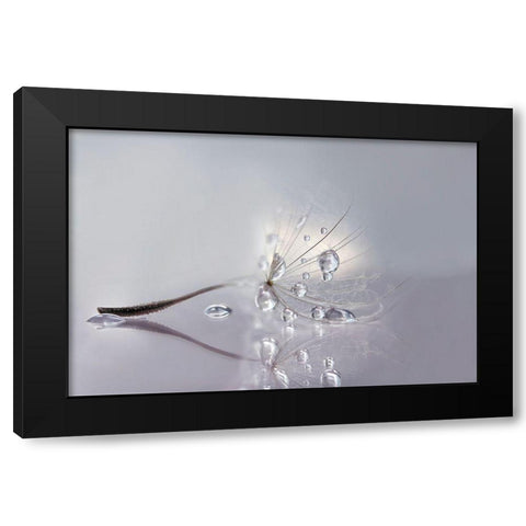 Silver Black Modern Wood Framed Art Print with Double Matting by Barbieri, Rina