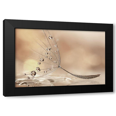 Prestige Black Modern Wood Framed Art Print by Barbieri, Rina