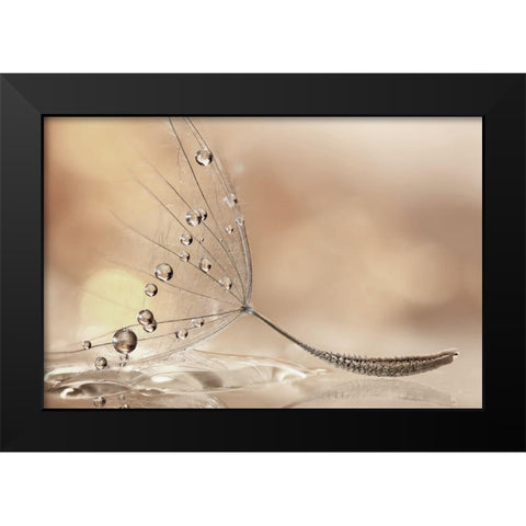 Prestige Black Modern Wood Framed Art Print by Barbieri, Rina