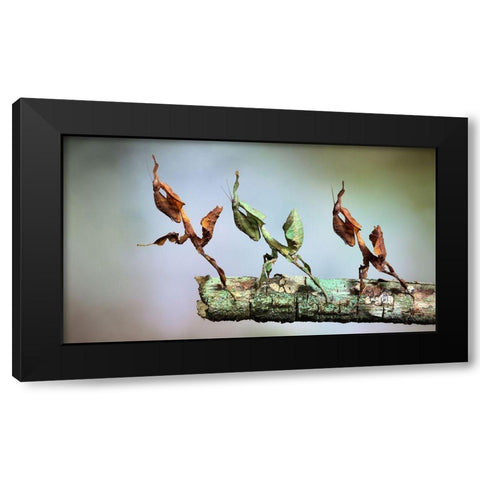 Into The Void Black Modern Wood Framed Art Print by Hoffman, Jimmy