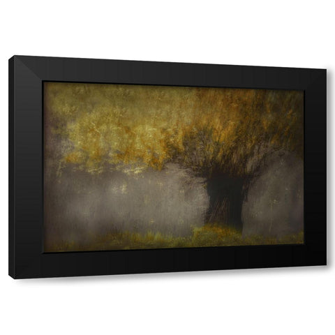 Pollard Willow Black Modern Wood Framed Art Print with Double Matting by Talen, Nel
