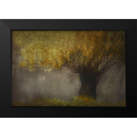Pollard Willow Black Modern Wood Framed Art Print by Talen, Nel