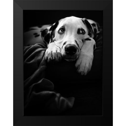 Nothing Is Happening :-( Black Modern Wood Framed Art Print by Scherhag, Ute