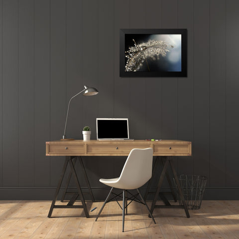 Reflection Explotion Black Modern Wood Framed Art Print by Westum, Heidi