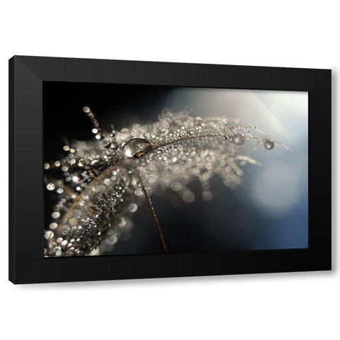 Reflection Explotion Black Modern Wood Framed Art Print with Double Matting by Westum, Heidi