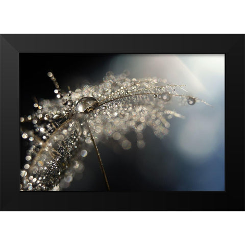 Reflection Explotion Black Modern Wood Framed Art Print by Westum, Heidi