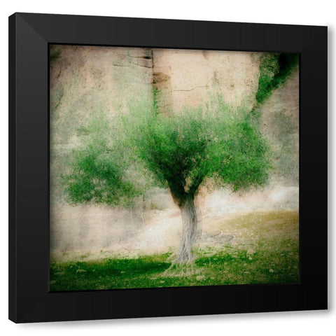 The Olive Tree Black Modern Wood Framed Art Print by Van Bijnen, Jacqueline