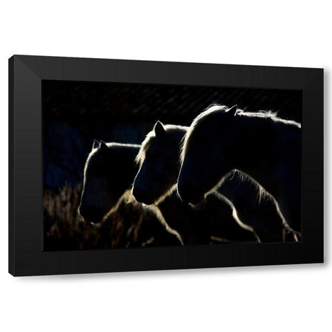 Horses (Colored Version) Black Modern Wood Framed Art Print with Double Matting by Romaggi, Michel