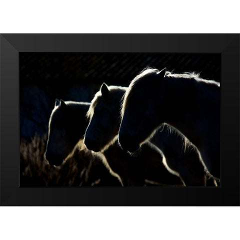Horses (Colored Version) Black Modern Wood Framed Art Print by Romaggi, Michel