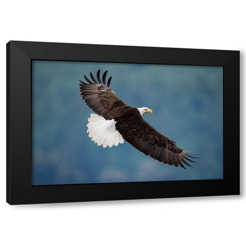 The Pose Black Modern Wood Framed Art Print by H Yang, David