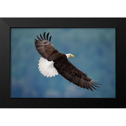The Pose Black Modern Wood Framed Art Print by H Yang, David