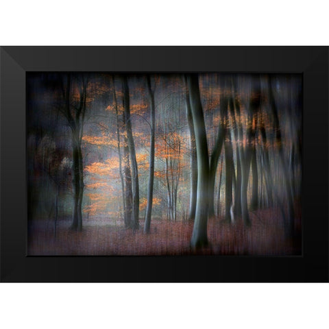 Enchanted Forest Black Modern Wood Framed Art Print by Romaggi, Michel