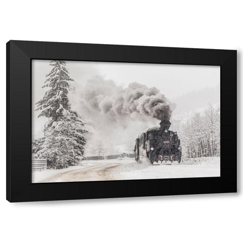 Winter Story Black Modern Wood Framed Art Print with Double Matting by Dorin Lucian, Sveduneac