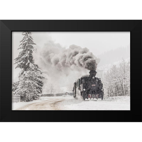 Winter Story Black Modern Wood Framed Art Print by Dorin Lucian, Sveduneac
