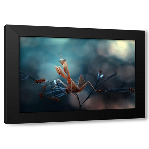 Praying Mantis Black Modern Wood Framed Art Print by Gapur Dayak, Abdul
