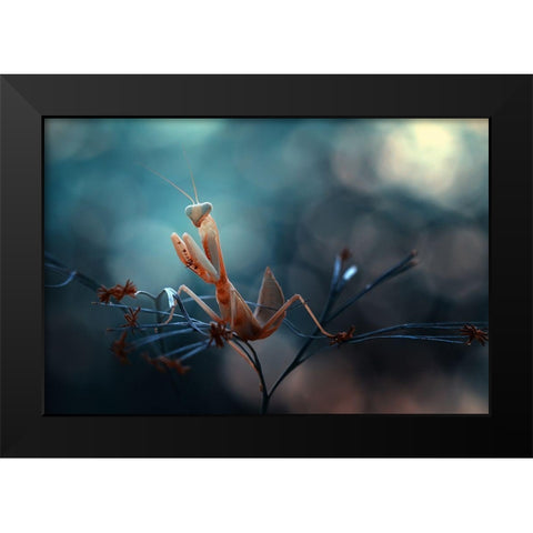 Praying Mantis Black Modern Wood Framed Art Print by Gapur Dayak, Abdul