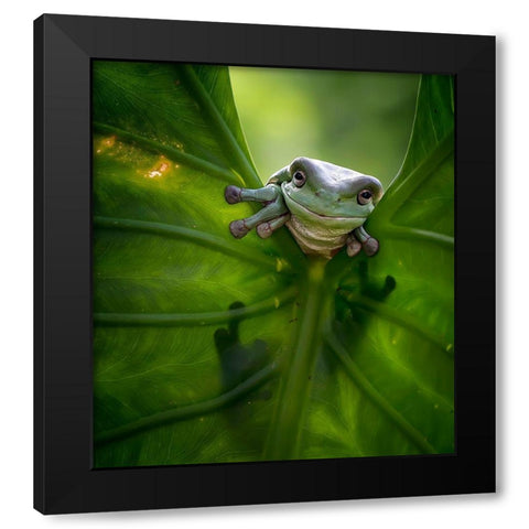 Peek A Boo Black Modern Wood Framed Art Print with Double Matting by Maududdin, Fauzan