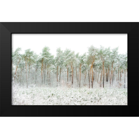 Snow World Black Modern Wood Framed Art Print by Van Son, Greetje