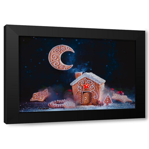 Winter Moon Black Modern Wood Framed Art Print with Double Matting by Belenko, Dina