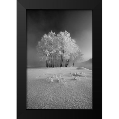 The First Snow Black Modern Wood Framed Art Print by Mierzejewski, Krzysztof