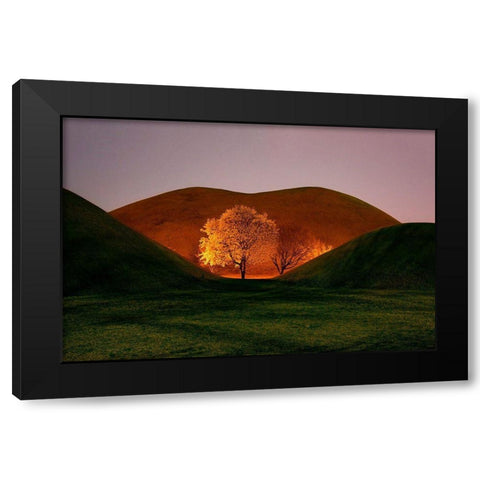 Magnolia Black Modern Wood Framed Art Print by Namkoong, Bongok