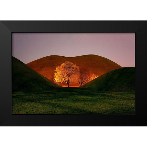 Magnolia Black Modern Wood Framed Art Print by Namkoong, Bongok